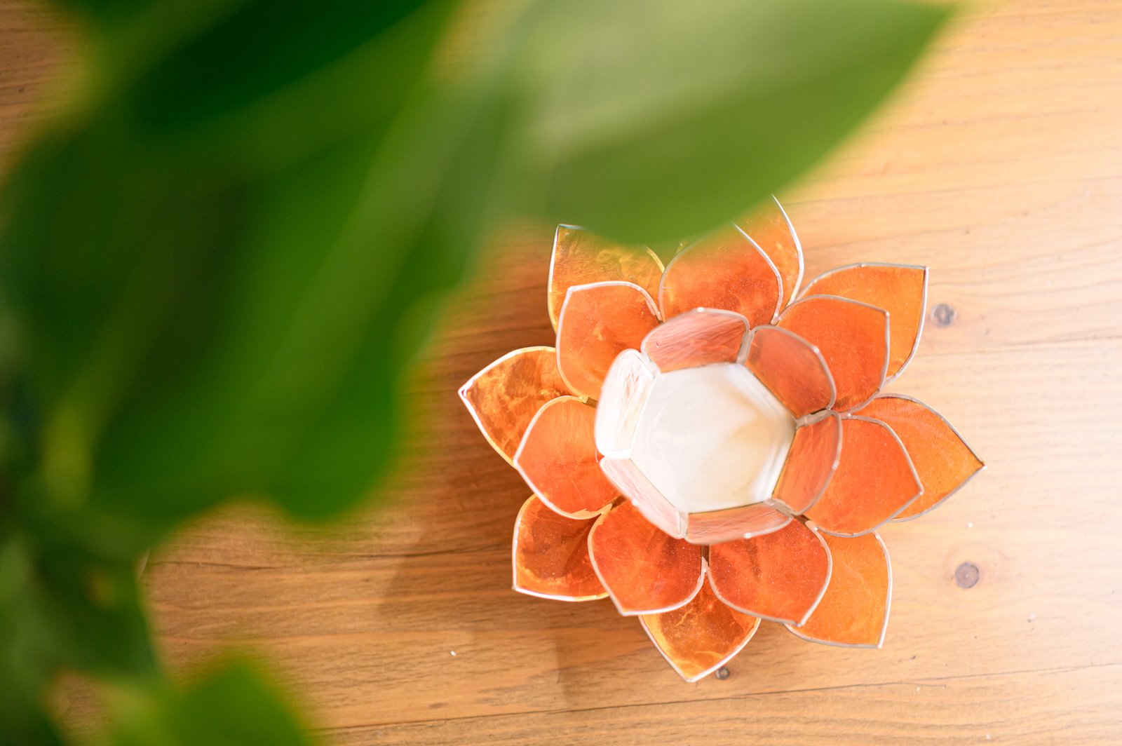 Portavelas de loto naranja